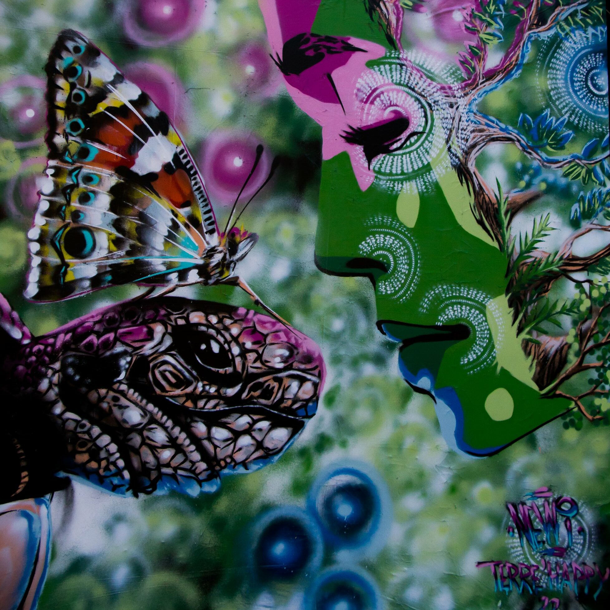 papillon-et-la-tortue-accueil